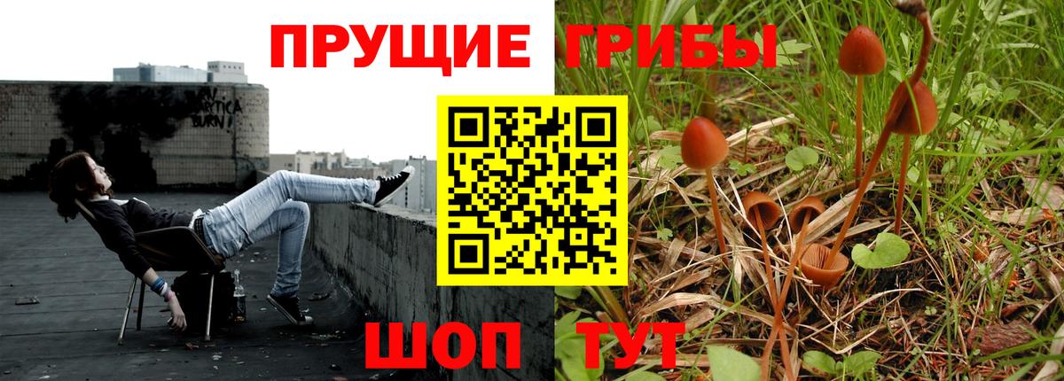 Псилоцибиновые грибы мухоморы Муром